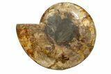 Huge, Sliced Ammonite Fossil (Half) - Crystal Filled #317432-1